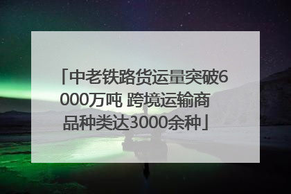 中老铁路货运量突破6000万吨 跨境运输商品种类达3000余种