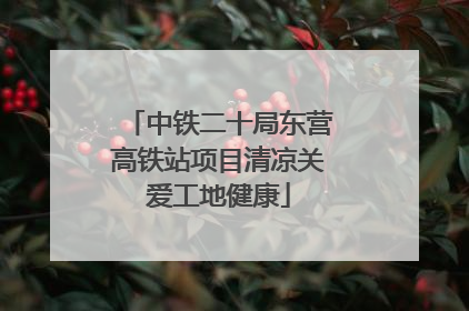 中铁二十局东营高铁站项目清凉关爱工地健康