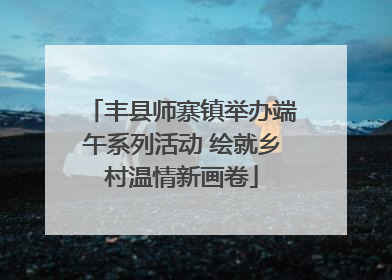 丰县师寨镇举办端午系列活动 绘就乡村温情新画卷