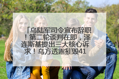 乌陆军司令宣布辞职！第二轮谈判在即，泽连斯基提出三大核心诉求！乌方透露摧毁41架俄战略轰炸机