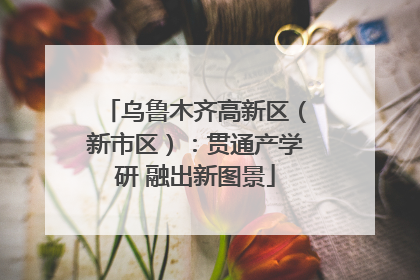 乌鲁木齐高新区（新市区）：贯通产学研 融出新图景