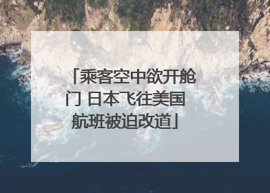 乘客空中欲开舱门 日本飞往美国航班被迫改道