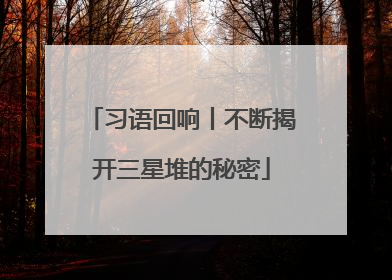 习语回响丨不断揭开三星堆的秘密
