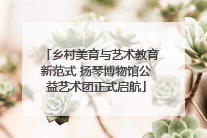 乡村美育与艺术教育新范式 扬琴博物馆公益艺术团正式启航