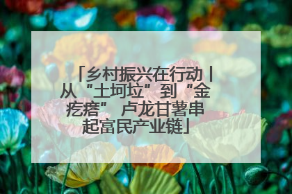 乡村振兴在行动丨从“土坷垃”到“金疙瘩” 卢龙甘薯串起富民产业链