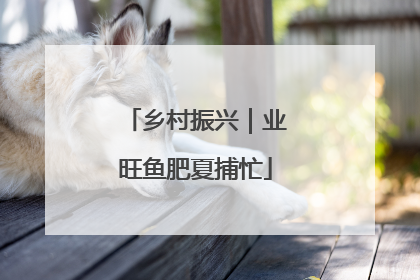乡村振兴｜业旺鱼肥夏捕忙