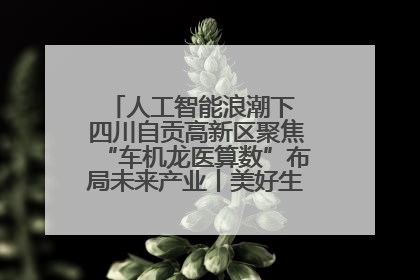 人工智能浪潮下 四川自贡高新区聚焦“车机龙医算数”布局未来产业丨美好生活有“盐”味