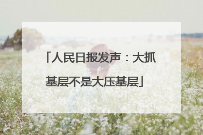 人民日报发声：大抓基层不是大压基层