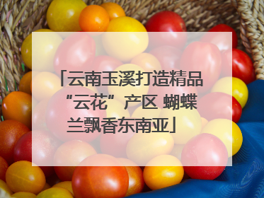 云南玉溪打造精品“云花”产区 蝴蝶兰飘香东南亚