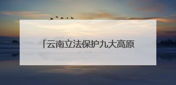 云南立法保护九大高原湖泊：禁止在入湖河道洗车等，9月1日起施行