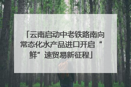 云南启动中老铁路南向常态化水产品进口开启“鲜”速贸易新征程