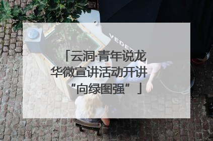 云洞·青年说龙华微宣讲活动开讲“向绿图强”