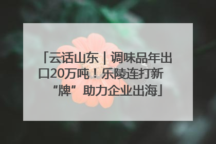 云话山东｜调味品年出口20万吨！乐陵连打新“牌”助力企业出海