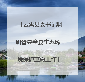云霄县委书记调研督导全县生态环境保护重点工作