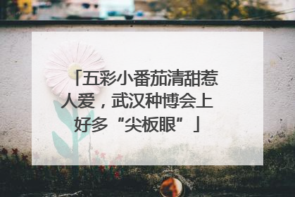 五彩小番茄清甜惹人爱，武汉种博会上好多“尖板眼”