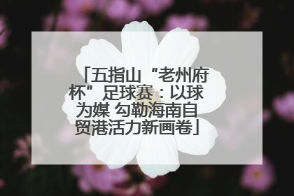 五指山“老州府杯”足球赛：以球为媒 勾勒海南自贸港活力新画卷