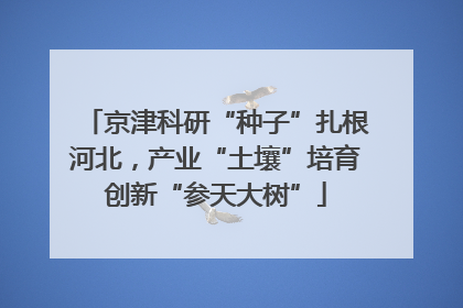 京津科研“种子”扎根河北，产业“土壤”培育创新“参天大树”