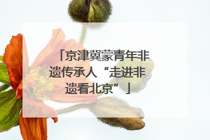 京津冀蒙青年非遗传承人“走进非遗看北京”