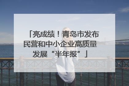 亮成绩！青岛市发布民营和中小企业高质量发展“半年报”