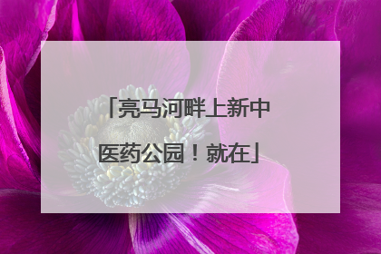 亮马河畔上新中医药公园！就在