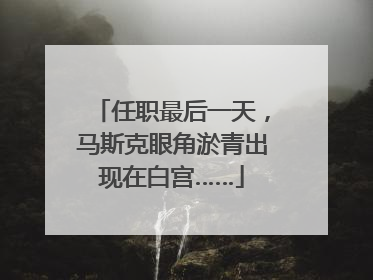 任职最后一天，马斯克眼角淤青出现在白宫……