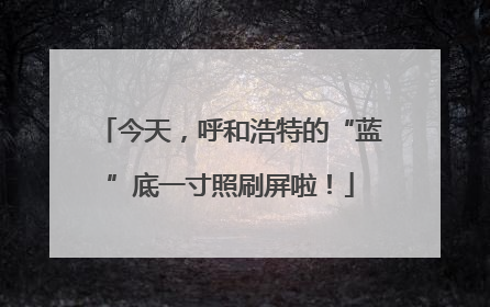 今天，呼和浩特的“蓝”底一寸照刷屏啦！