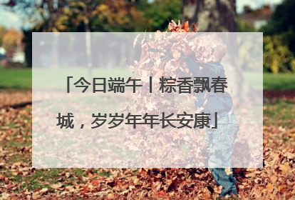 今日端午丨粽香飘春城，岁岁年年长安康
