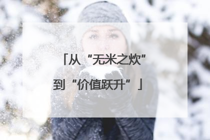 从“无米之炊”到“价值跃升”