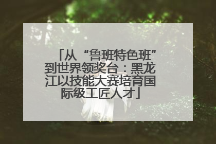 从“鲁班特色班”到世界领奖台：黑龙江以技能大赛培育国际级工匠人才