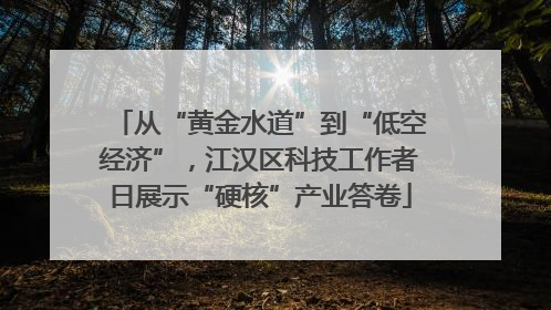 从“黄金水道”到“低空经济”，江汉区科技工作者日展示“硬核”产业答卷