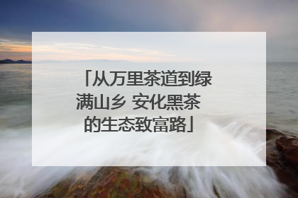 从万里茶道到绿满山乡 安化黑茶的生态致富路