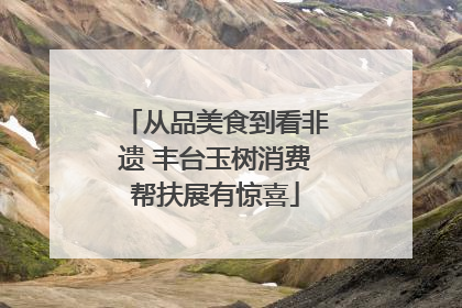从品美食到看非遗 丰台玉树消费帮扶展有惊喜