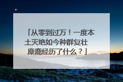 从零到过万！一度本土灭绝如今种群复壮 麋鹿经历了什么？