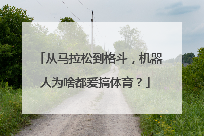 从马拉松到格斗，机器人为啥都爱搞体育？