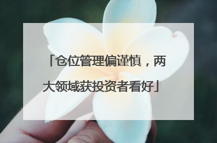 仓位管理偏谨慎，两大领域获投资者看好