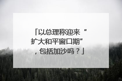 以总理称迎来“扩大和平窗口期”，包括加沙吗？