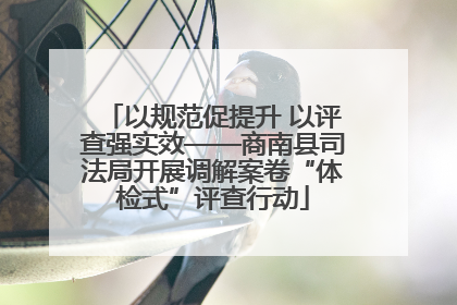 以规范促提升 以评查强实效——商南县司法局开展调解案卷“体检式”评查行动