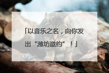以音乐之名，向你发出“潍坊邀约”！