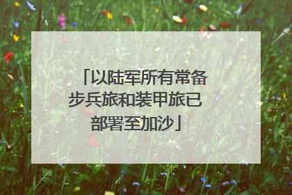以陆军所有常备步兵旅和装甲旅已部署至加沙