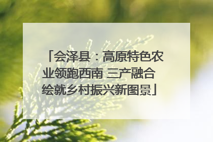 会泽县：高原特色农业领跑西南 三产融合绘就乡村振兴新图景