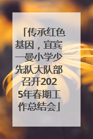 传承红色基因，宜宾一曼小学少先队大队部召开2025年春期工作总结会