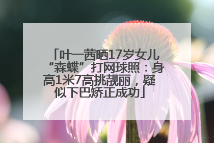 叶一茜晒17岁女儿“森蝶”打网球照：身高1米7高挑靓丽，疑似下巴矫正成功