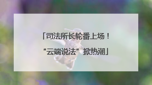 司法所长轮番上场！“云端说法”掀热潮