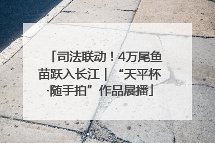 司法联动！4万尾鱼苗跃入长江｜“天平杯·随手拍”作品展播