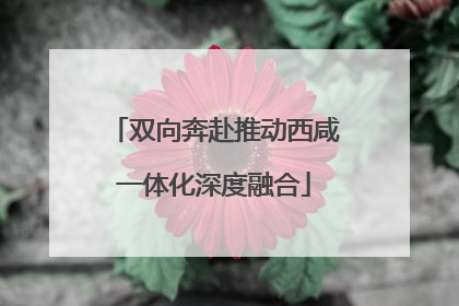 双向奔赴推动西咸一体化深度融合