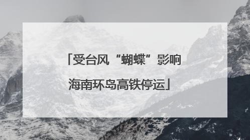 受台风“蝴蝶”影响 海南环岛高铁停运