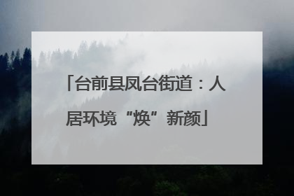 台前县凤台街道：人居环境“焕”新颜