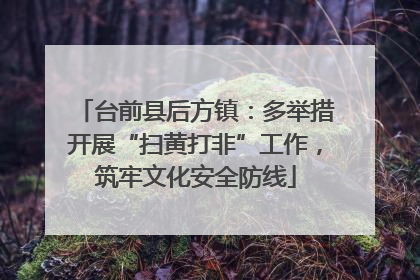 台前县后方镇：多举措开展“扫黄打非”工作，筑牢文化安全防线