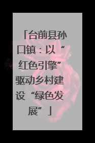台前县孙口镇：以“红色引擎”驱动乡村建设“绿色发展”