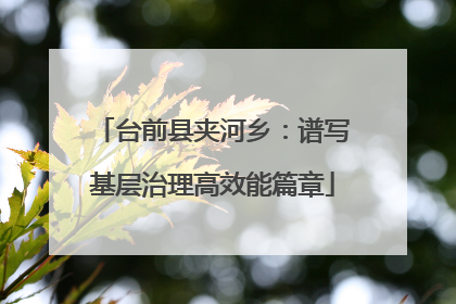 台前县夹河乡：谱写基层治理高效能篇章